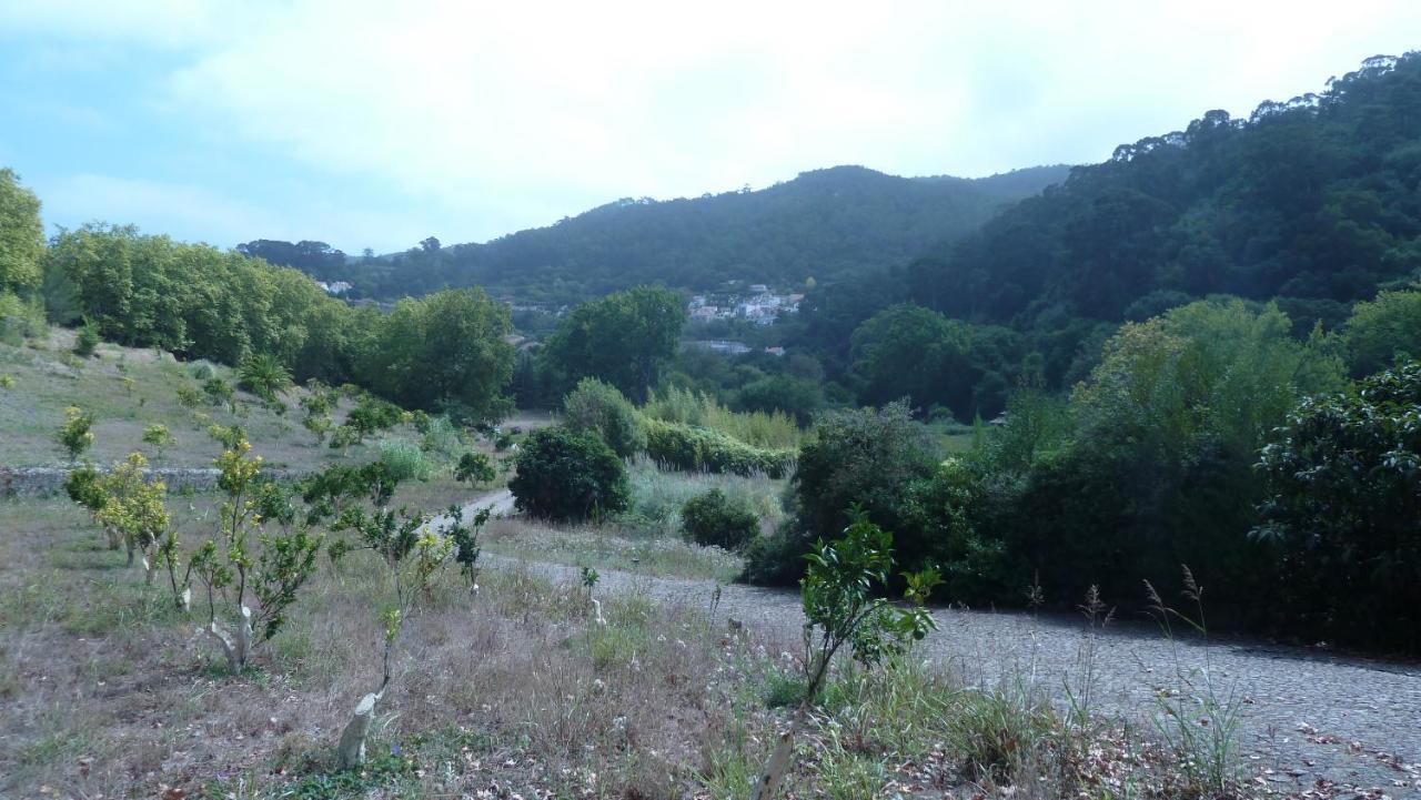 شقة Ribeira Dos Marinheiros Amarelo سينترا المظهر الخارجي الصورة